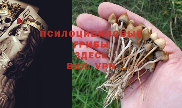 ПСИЛОЦИБИНОВЫЕ ГРИБЫ Армянск