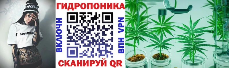 Конопля OG Kush  Жуковка 